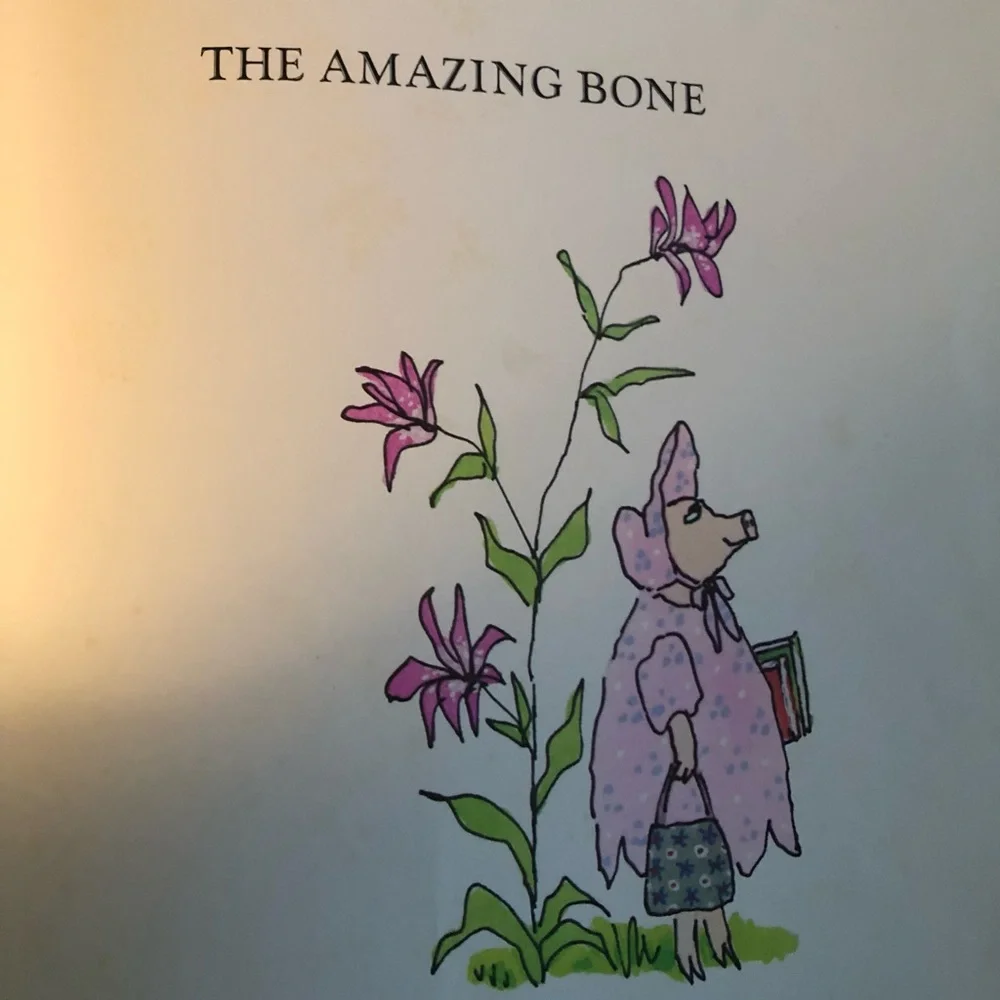 “The Amazing Bone” vintage book by William Steig